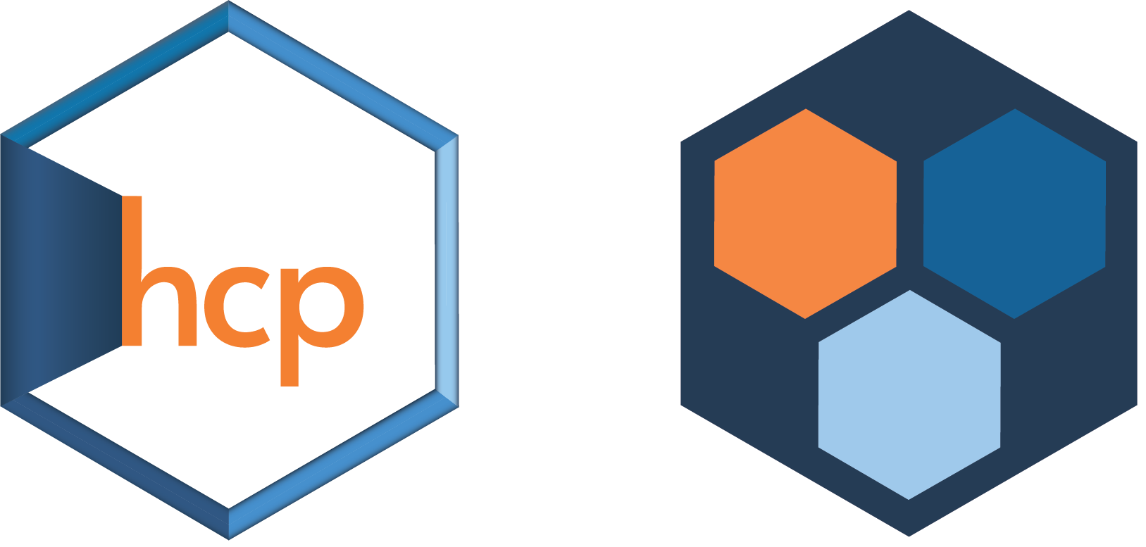 Pair of hexagonal health Common Project and Student Health Hub logos in blue and orange hues.