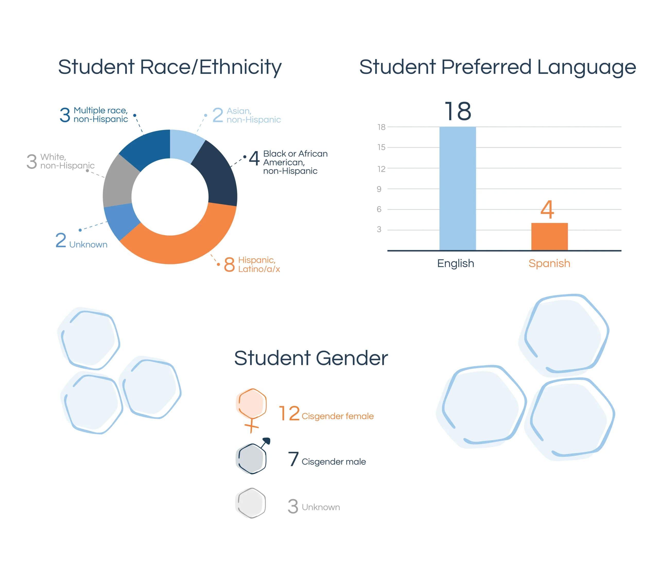 Student race and preferred languages for the Renton Quarterly Report. 